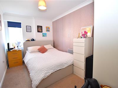 Picture 8